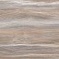 WT9ESR21 Esprit Wood 250*500*9 AltaCera