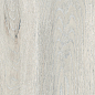 DW01 Dream Wood Неполированный 30.6x60.9x8 Estima фото в миниатюре