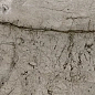 800 Passion Dark 29.5x89.5 Eurotile Ceramica