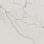 302861 Supreme Calacatta Rett 60x60 Dado Ceramica