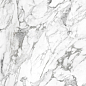 010400001220 Platinum white белый PG 01 60х120 Gracia Ceramica
