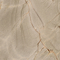 774891 Nature Mood Rainforest Comfort 6mm 60x120 Casa Dolce Casa