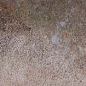 Octane Ochre 24.5x6.58 Paradyz фото в миниатюре