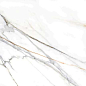 223527 Calacatta Gold White Pulido Rect 120x120 Colorker