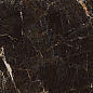 N40021 Creta Brown Polished 60x120 Neodom