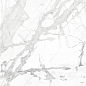 CR4023-A Diverso White Carving 60x120 Arcadia Ceramica фото в миниатюре 3