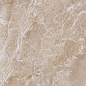 TP66M20 Велета матовый 60x60 PrimaVera фото в миниатюре 4