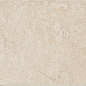 79493 Ostuni Avorio 20х40 Cerdomus фото в миниатюре 5