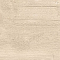 Dixie Almond 20x120 Geotiles