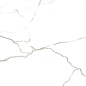 KAUNAS 60*120 Geotiles