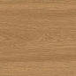 A843 Entice Copper Oak Natural Grip R11 20x120 Atlas Concorde