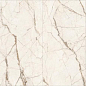 K958001R0001VTER SilverRoot Слоновая Кость Матовый R10A Ректификат 60x120 Vitra фото в миниатюре 2