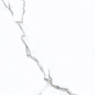 Calacatta Opaco 31.5x63 Azori