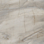 60120LMS15P Limestone Dark полированный 600x1200x7 LCM