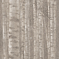 A0LW Boost Pro Grove 120x278 Atlas Concorde
