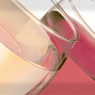 Composicion Wine 02 30x30 Absolut Keramika