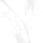Bony Statuario 600x1200 LV Granito