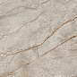 610015000618 Empire Silver Root Rett Lapp 60x120 Atlas Concorde Russia