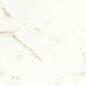 A421 Marvel Calacatta Prestigio Scenic Bookm A Lp 120x278 Atlas Concorde