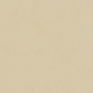 N12038 Blossom Cream Matt 60x120 Neodom