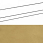 620070002346 Continuum Brass Gold Scalino Frontale 33x160 Italon