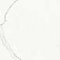 P612516 Statuario Classico Soft 120x60 Ariostea