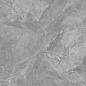 CR6060G0401R Regnum Grigio серый матовый 59,5х59,5 Ceradim фото в миниатюре