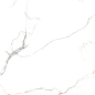 AB 1125G Statiario Titan gloss 600x600 Absolut Gres