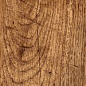 Foresta PG-Bronzo 15x60 Polcolorit