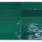 122102 Safi Emerald 5,2х16 DNA Tiles фото в миниатюре 2