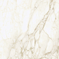 610010002748 Микеланджело Ворм 60x60 ColiseumGres