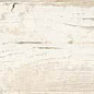 Blendart White 15x120 Sant Agostino
