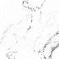 CR4006-A Borghini Silver Carving 60x60 Arcadia Ceramica