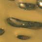 GR 02G Gold 2x2 32.7x32.7 ROSE MOSAIC
