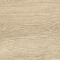 41728 Bloom Dune SP/24x151x0,9/R 24x151 Peronda