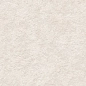 N40040 Basalt Stone Ivory Matt 60x120 Neodom