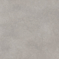 GT1206017701MR Cassini Серый матовый 60x120 Global Tile