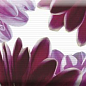 Decor Flowers 01 15x45 Absolut Keramika