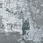 GO CRAZY GREY NATURAL 44,63x89,46 Land Porcelanico