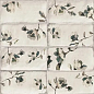 PT02551 Esenzia Fabola Green Mix 15x30 Mainzu