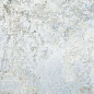 Vintage Pearl (8 дизайнов) 60x60 Absolut Keramika
