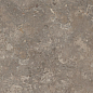 NTT9450S Pietra Brown Struttura 60x120 NT Ceramic фото в миниатюре 3