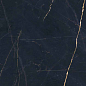 PF60011003 Precious Black Lux Ret 60x120 ABK
