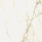 610010002748 Микеланджело Ворм 60x60 ColiseumGres