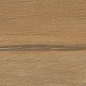 Leccio Oliato 10x40 Serenissima Cir