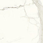PL612527 Bianco Calacata Luc 120x60 Ariostea