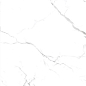 STATUARIO GRIS Glossy 60x120 One Touch