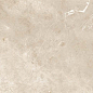Imagine Beige Carving 60x120 Gravita
