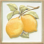 TLA002H Капри Лимончики 9.8х9.8 Kerama Marazzi