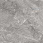 D60260M Wild Dark матовый 600x600x9.5 New Trend